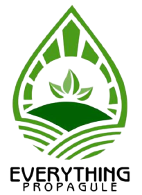 img 20231102 wa0001 removebg preview